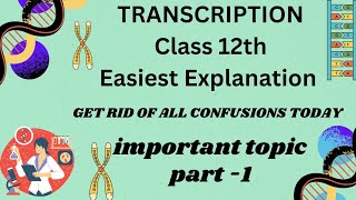 TranscriptionTranscription in prokaryotes Easy Explanation in urdu hindi MaamHinaBiologyofficial [upl. by Enelyam]