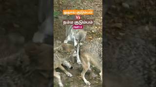 Wolf pack vs our family comparison wolfpack wolf wolves tamil bioworld bw [upl. by Mairim772]