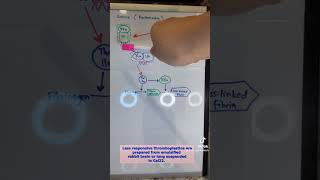 Prothrombin Time Extrinsic Coagulation Pathway medtech medtechstudent foryou coagulation fypシ゚ [upl. by Iila772]