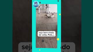 Gatinho Jogando Bola petsengracados [upl. by Luwana]