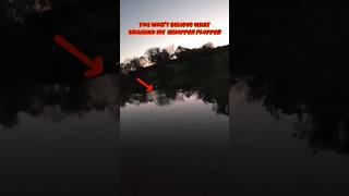 What smashed my Whopper Plopper fishing whopperplopper kayakfishing [upl. by Arlyn]