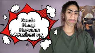 Sende hangi hayvanın cazibesi var  Onedio Test [upl. by Griffin]