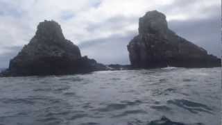 Kayak circumnavigation of Tasmania 2nd half [upl. by Baum327]