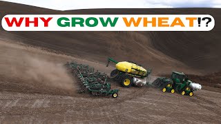 Why are we seeding wheat now [upl. by Avera]