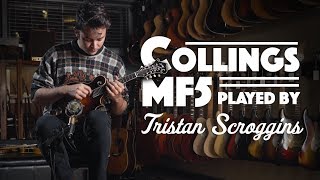 Collings MF5 played by Tristan Scroggins [upl. by Renell]