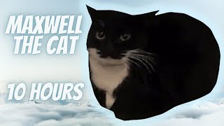 Maxwell the Cat Theme 10 Hours [upl. by Jessen379]