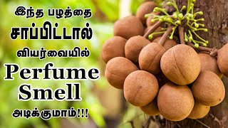 The Perfume Fruit  Kepel Fruit  பெண்கள் அழகின் ரகசியம் இந்த பழம்   Veliyath Garden  Episode 2 [upl. by Thorncombe]