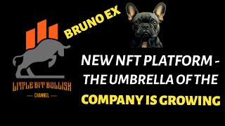 BRUNO EX UPDATE THE UMBRELLA OF THE COMPANY IS GROWING  NEW NFT PLATFORM 311024 [upl. by Story]