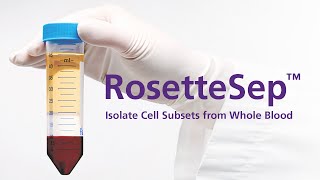 Isolate Cells from Whole Blood without Columns or Magnets RosetteSep™ Immunodensity Cell Separation [upl. by Ennaihs111]