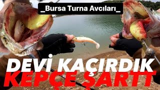 Bursa Turna Avı  Dev Turnayı kaçırdık Bol Balıklı Bir Gün  Bursa balık Avcıları  Риболов на щука [upl. by Noitna]