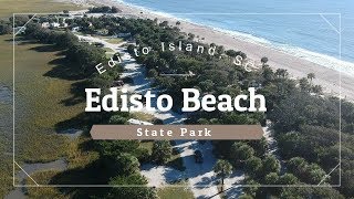 Edisto Beach State Park SC Live Oak Loops [upl. by Klara]