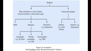 Types of Mutations Point Mutations and Frameshift Mutations  Mutations In Genetics [upl. by Ahsaya]