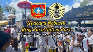 Upacara Nebusin Ring Pura Dalem Puri [upl. by Ayenat97]