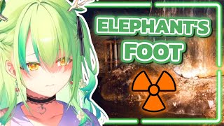 Fauna Explains Whats Chernobyls Elephants Foot Only Up [upl. by Naivart16]