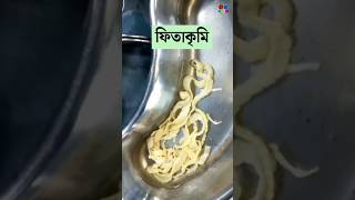 ফিতাকৃমি  Tapeworm  Cestodes Microbiology  Dr Med [upl. by Legra]