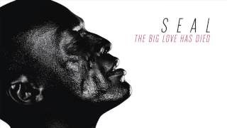 Seal  The Big Love Has Died AUDIO [upl. by Hardie]