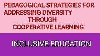 Pedagogical strategies for addressing diversity through cooperative learningInclusive Education [upl. by Abbotson78]