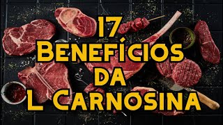 17 Benefícios da L Carnosina [upl. by Berns743]