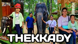 ThekkadyThekkady tourist placesThekkady tour guideTop places to visit in thekkady elephantsafari [upl. by Schou]