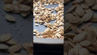 How to Smoke Pumpkin Seeds with Pecan Wood [upl. by Kram52]