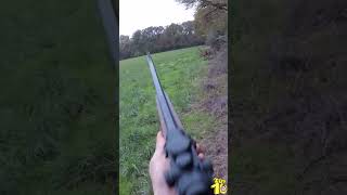 Tir dun cerf en battue par David Lion  Red stag Shot top10 hunting [upl. by Dominus]