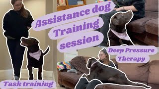 Assistance dog training session  TASK TRAINING [upl. by Newol]