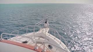 EQ Mallorca boat charter rentals [upl. by Aihsetal]