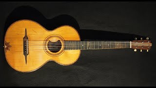 Meinel amp Herold German parlor guitar sound demo [upl. by Cecil]