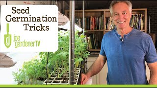 Seed Germination  Easy Tricks for More Success [upl. by Norling588]