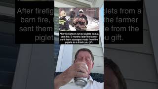 After Firefighters Saved Piglets From A Barn Fire 6 Months Later They Were Sent Sausages grandpa [upl. by Adiesirb672]