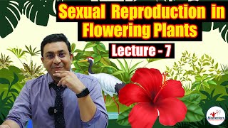 Sexual Reproduction in Flowering Plants l Lecture 7 l Biology l NEET [upl. by Aritak]