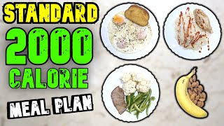 A Standard 2000 Calorie Meal Plan [upl. by Neddy490]