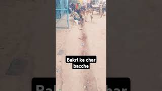 Bakri ke char bacche [upl. by Oap]