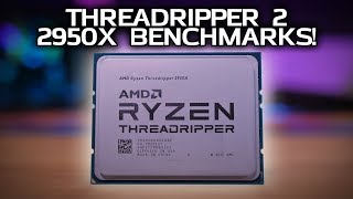 16CORE CPU WAR Threadripper 2 2950X Benchmarks vs i9 7960X [upl. by Jacobsen]