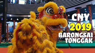 Pertunjukan Lion Dance Barongsai Aeon Mall  Barongsai Tonggak CNY 2019 [upl. by Portie745]