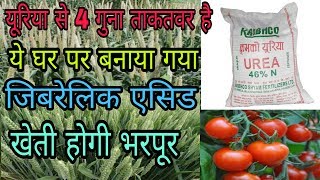 Gibberellic Acid के बारे में संपूर्ण जानकारी [upl. by Anileve]