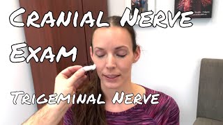 Cranial Nerve Examination Trigeminal Nerve CN V [upl. by Centonze54]