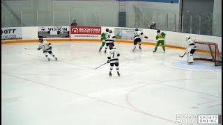 PJHL  Dorchester Dolphins vs Hespeler Shamrocks [upl. by Salba]