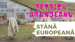 Petrică Brundeanu  Am stână europeană [upl. by Juli]