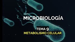 Metabolismo celular  Anabolismo y catabolismo tema 9  Microbacter [upl. by Lilybelle353]