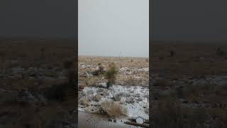 My RV Window view of SNOWING EVENT ZOZO NM [upl. by Tanhya]