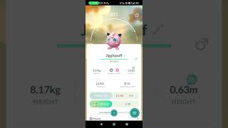 JIGGLYPUFF EVOLUTION TO WIGGLYTUFF [upl. by Namad]