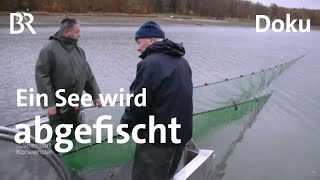 Der Ellertshäuser Stausee wird abgefischt und saniert  Zwischen Spessart und Karwendel  Doku  BR [upl. by Dranik]