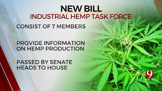 Oklahoma Senate Passes Bill To Create Hemp Task Force [upl. by Wenn]