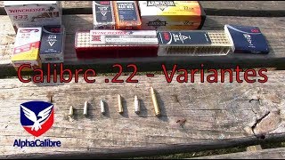 Calibre 22  sus variantes [upl. by Ytinav]