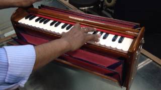 Harmonium BINA Dulcetina 3 ½ octaves portable 2 reed [upl. by Ahsirat]