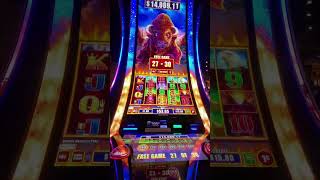 Buffalo power pay wheel bonus casino buffalo [upl. by Wehtta]