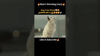 Dog lover🐕🥰shorts fantasy shortsfeed ytstudio trendingshorts tamilvoiceover mysterydiv [upl. by Adora]