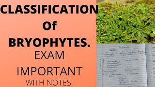 CLASSIFICATION OF BRYOPHYTESbsc botany [upl. by Rapp]