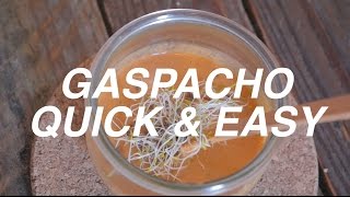 EASY RECIPE  Gaspacho [upl. by Novyart46]